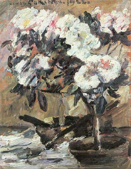 Lovis Corinth Azaleen china oil painting image